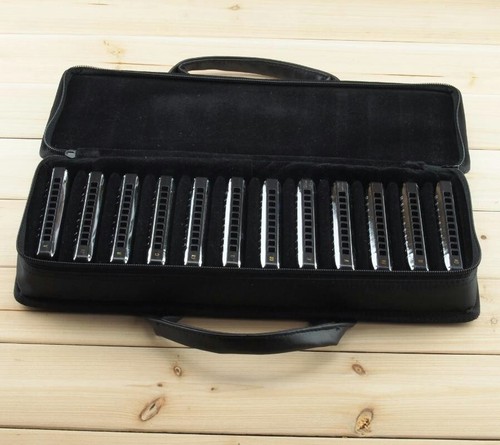 Easttop 10hole harmonica set - harmonica,